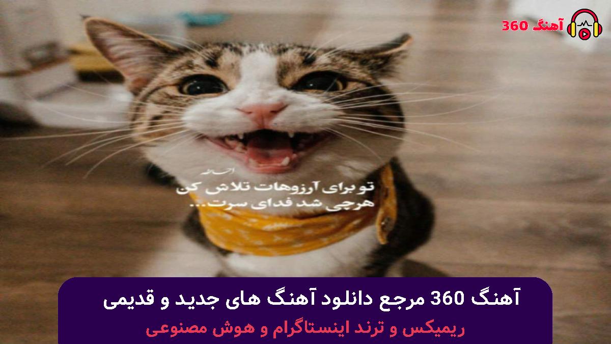 کاور آهنگ سلیقمی تو صد سال دیگه با صدای 